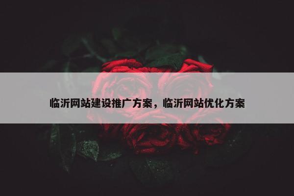 临沂网站建设推广方案，临沂网站优化方案
