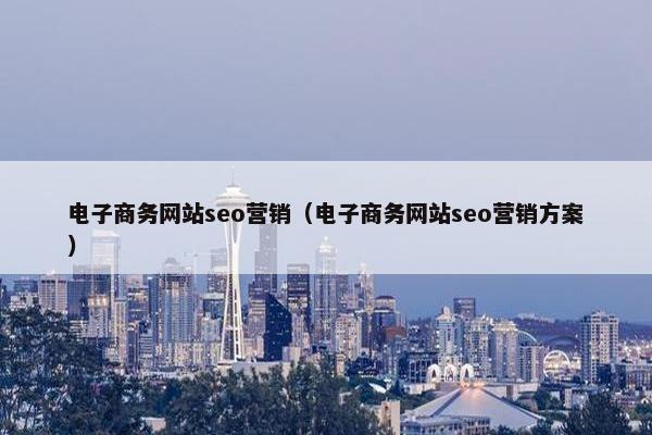 电子商务网站seo营销（电子商务网站seo营销方案）