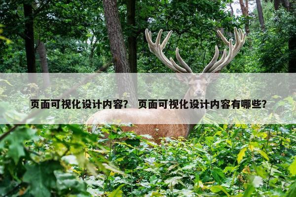 页面可视化设计内容？ 页面可视化设计内容有哪些？