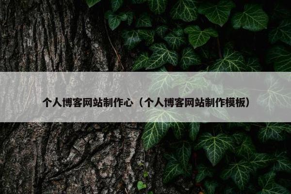 个人博客网站制作心（个人博客网站制作模板）