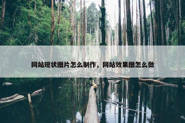 网站现状图片怎么制作，网站效果图怎么做