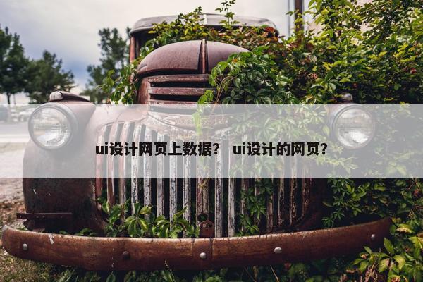 ui设计网页上数据？ ui设计的网页？