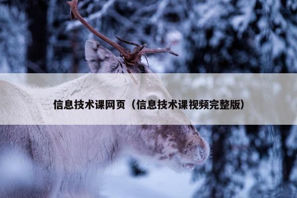 信息技术课网页（信息技术课视频完整版）