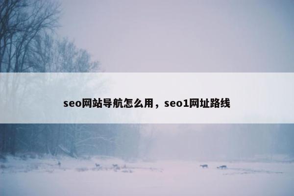 seo网站导航怎么用，seo1网址路线