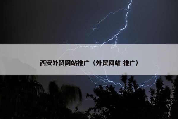 西安外贸网站推广（外贸网站 推广）