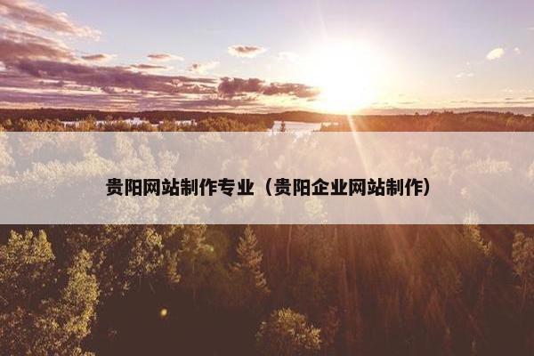 贵阳网站制作专业（贵阳企业网站制作）
