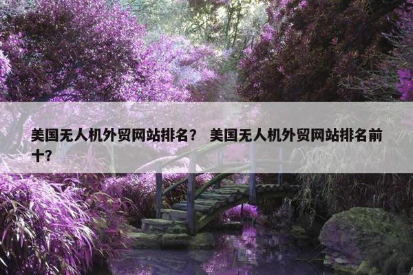 美国无人机外贸网站排名？ 美国无人机外贸网站排名前十？