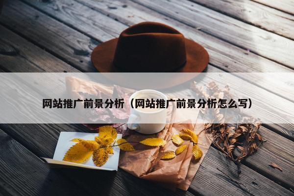 网站推广前景分析（网站推广前景分析怎么写）