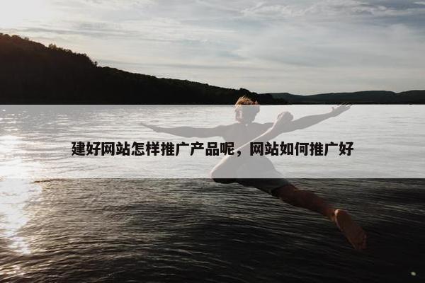 建好网站怎样推广产品呢，网站如何推广好