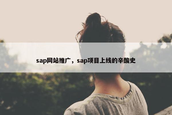 sap网站推广，sap项目上线的辛酸史