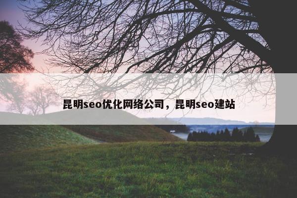 昆明seo优化网络公司，昆明seo建站