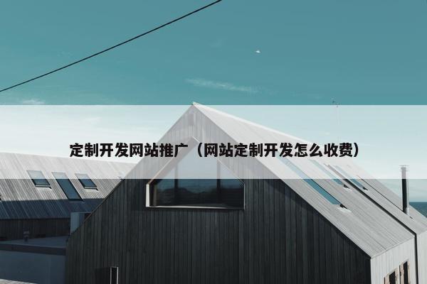 定制开发网站推广（网站定制开发怎么收费）