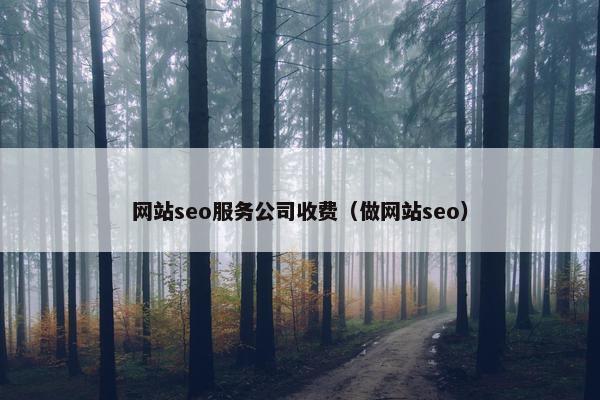 网站seo服务公司收费（做网站seo）