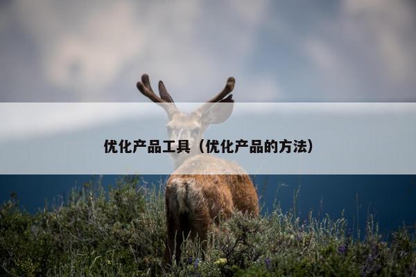 优化产品工具（优化产品的方法）