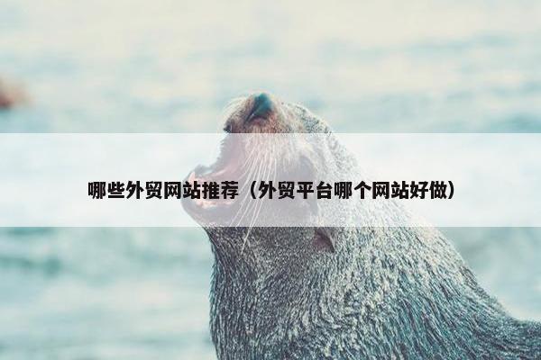 哪些外贸网站推荐（外贸平台哪个网站好做）