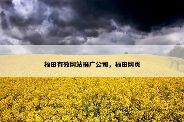 福田有效网站推广公司，福田网页