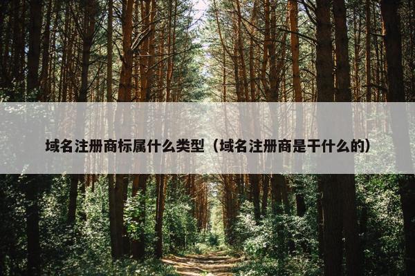 域名注册商标属什么类型（域名注册商是干什么的）