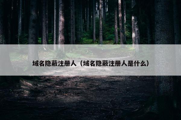 域名隐蔽注册人（域名隐蔽注册人是什么）