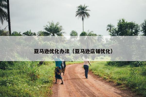亚马逊优化办法（亚马逊店铺优化）