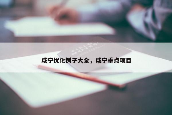 咸宁优化例子大全，咸宁重点项目