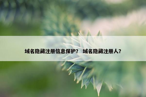 域名隐藏注册信息保护？ 域名隐藏注册人？