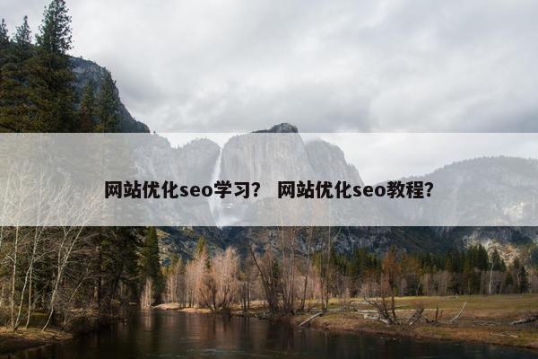 网站优化seo学习？ 网站优化seo教程？