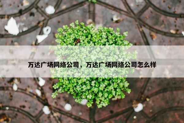万达广场网络公司，万达广场网络公司怎么样