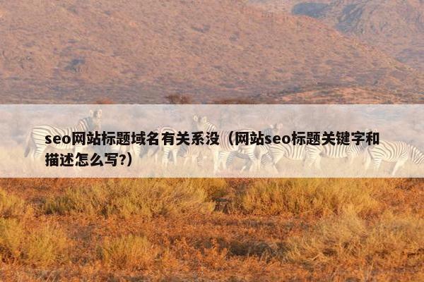 seo网站标题域名有关系没（网站seo标题关键字和描述怎么写?）