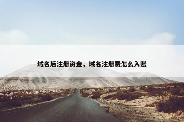 域名后注册资金，域名注册费怎么入账