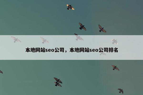 本地网站seo公司，本地网站seo公司排名