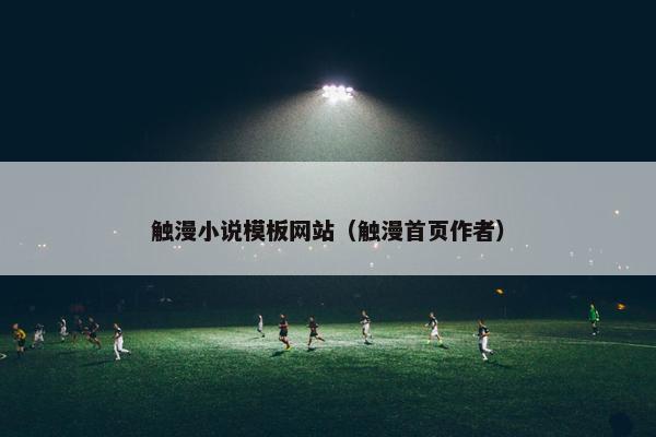 触漫小说模板网站（触漫首页作者）