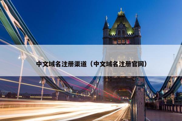 中文域名注册渠道（中文域名注册官网）