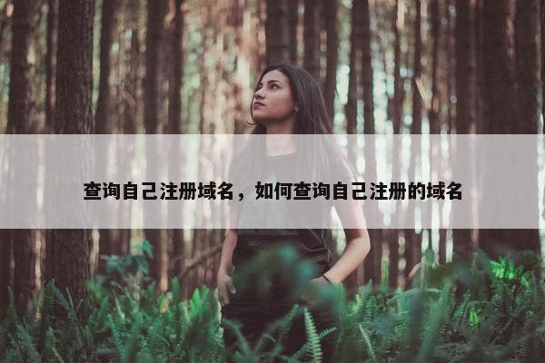 查询自己注册域名，如何查询自己注册的域名
