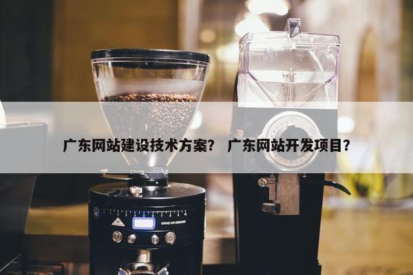 广东网站建设技术方案？ 广东网站开发项目？