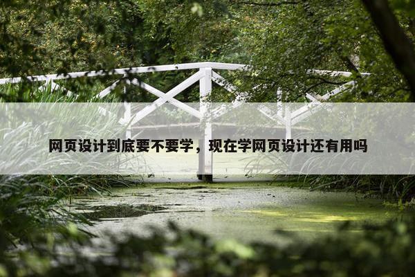 网页设计到底要不要学，现在学网页设计还有用吗
