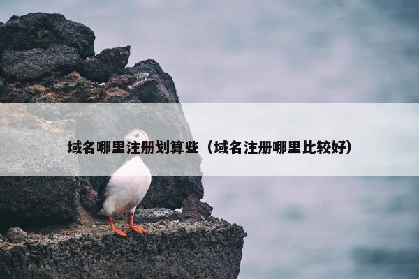 域名哪里注册划算些（域名注册哪里比较好）