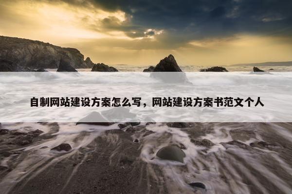 自制网站建设方案怎么写，网站建设方案书范文个人