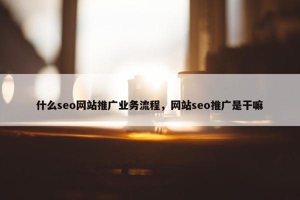 什么seo网站推广业务流程，网站seo推广是干嘛