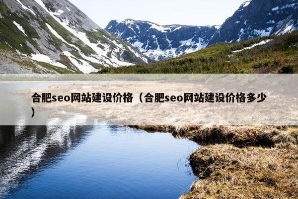 合肥seo网站建设价格（合肥seo网站建设价格多少）
