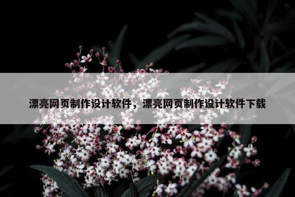 漂亮网页制作设计软件，漂亮网页制作设计软件下载