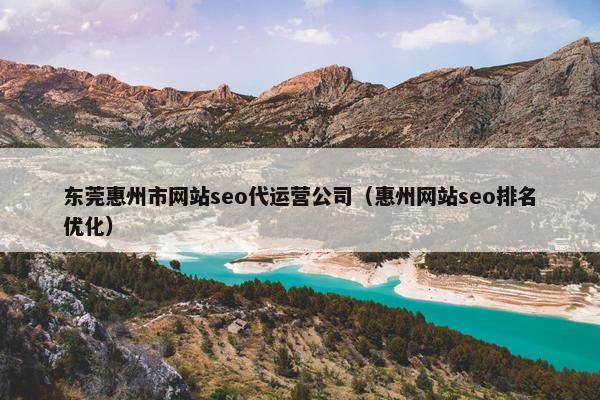 东莞惠州市网站seo代运营公司（惠州网站seo排名优化）