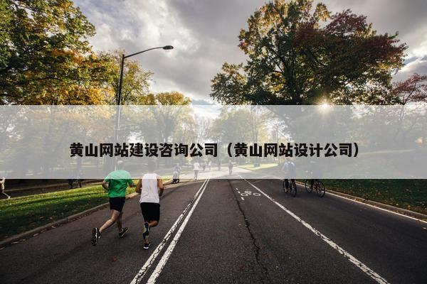 黄山网站建设咨询公司（黄山网站设计公司）