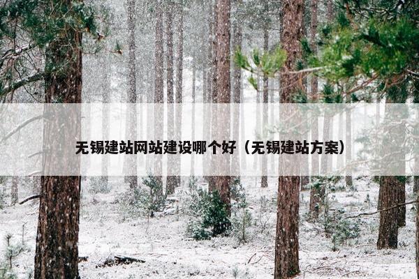 无锡建站网站建设哪个好（无锡建站方案）