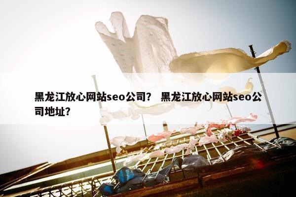 黑龙江放心网站seo公司？ 黑龙江放心网站seo公司地址？