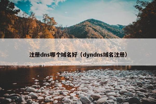 注册dns哪个域名好（dyndns域名注册）