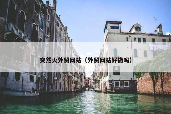 突然火外贸网站（外贸网站好做吗）