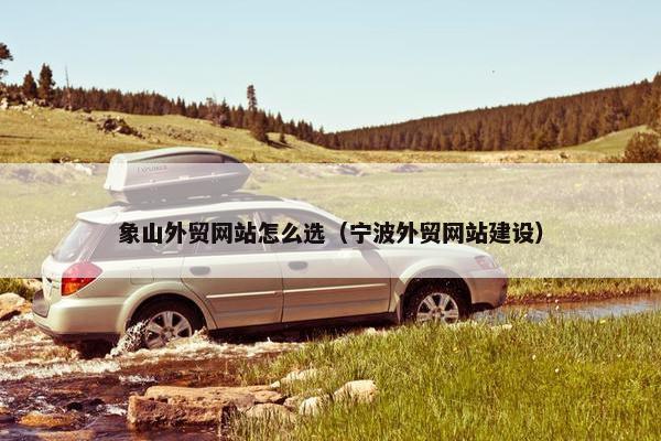 象山外贸网站怎么选（宁波外贸网站建设）