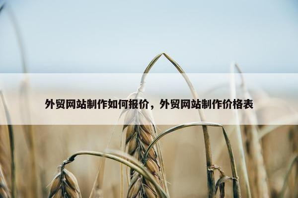 外贸网站制作如何报价，外贸网站制作价格表