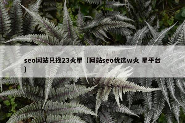 seo网站只找23火星（网站seo优选w火 星平台）