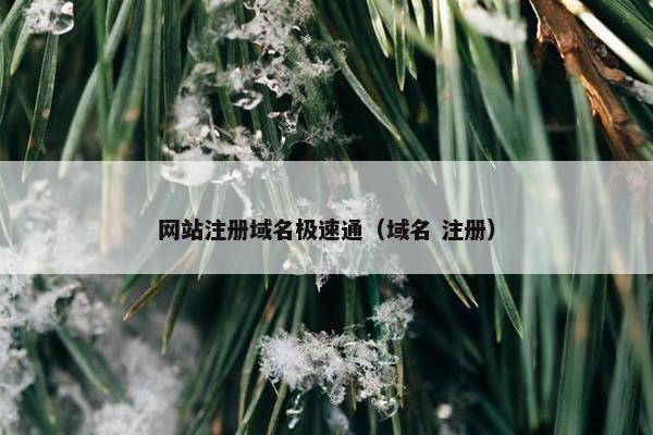 网站注册域名极速通（域名 注册）